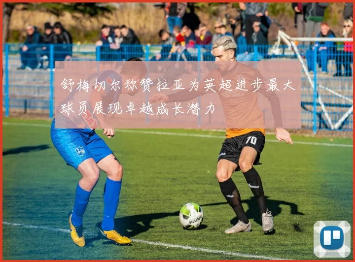 舒梅切尔称赞拉亚为英超进步最大球员展现卓越成长潜力